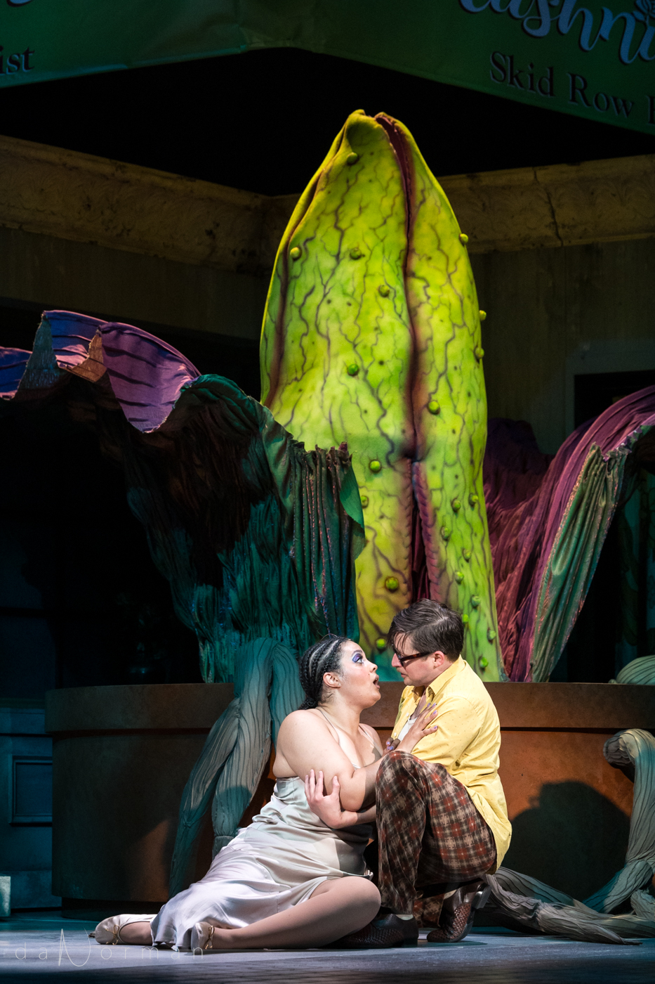 Guthrie – LIttle Shop of Horrors